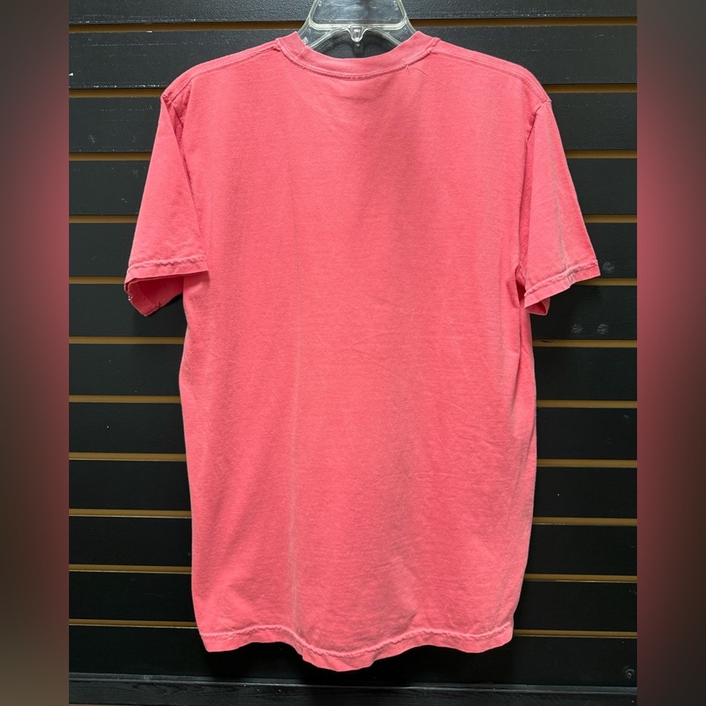 Violates Community Standards Graphic T Shirt Comfort Colors Medium - Picture 3 of 3
